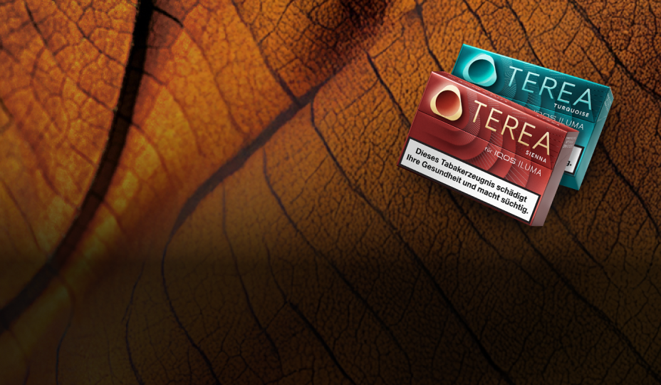 Zwei Packungen TEREA auf einem Tabakblatt-Hintergrund