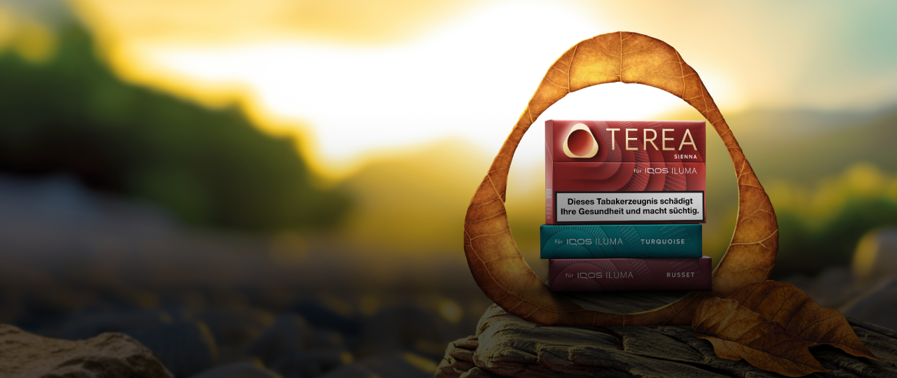 TEREA Tabaksticks vor einem Fort Knox Hintergrund
