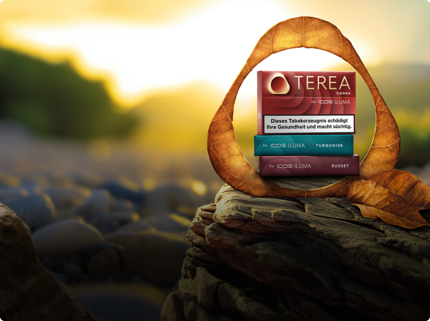 Drei Packungen TEREA auf einem Felsen mit dem IQOS Symbol aus Blättern.