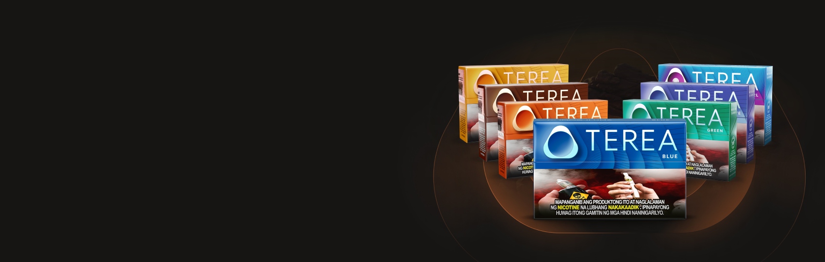 Assorted TEREA tobacco product packages arranged neatly on a clean surface.