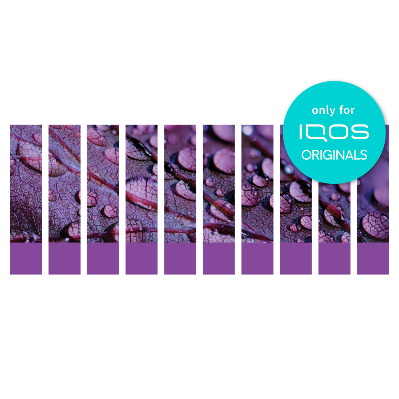IQOS HEETS Purple Bundle